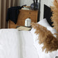 Classic Percale - Core Bedding Set - White with Anthracite Piped Edge